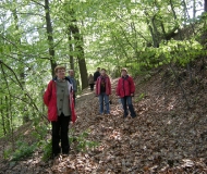 jablonne_hex__2011_023